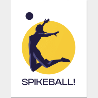 Spikeball! Posters and Art